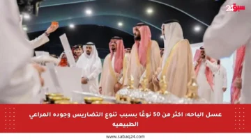عسل الباحة: أكثر من 50 نوعًا بسبب تنوع التضاريس وجودة المراعي الطبيعية